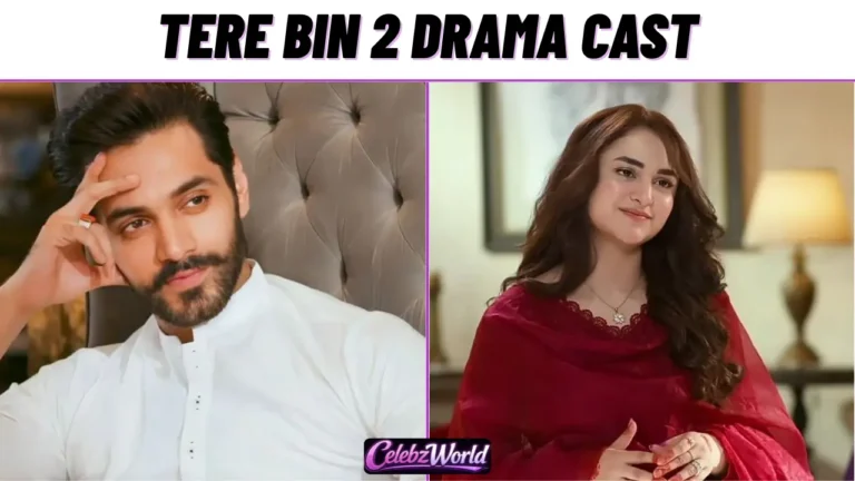 Tere Bin 2 Drama Cast