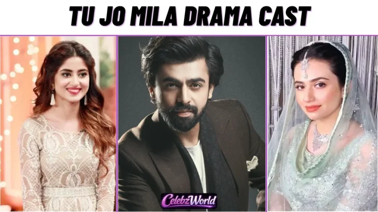 Tu Jo Mila Drama Cast
